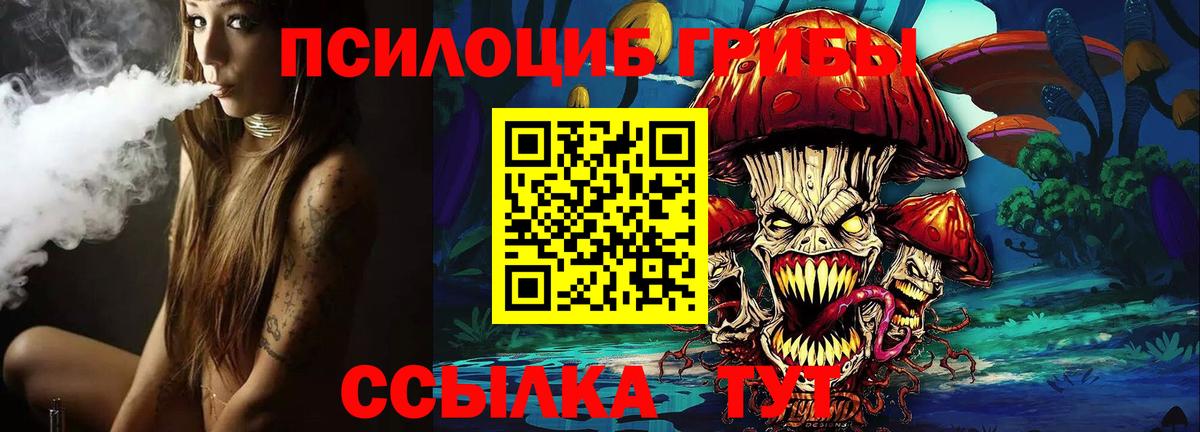 Псилоцибиновые грибы Cubensis  Вход с VPN  Новотроицк 