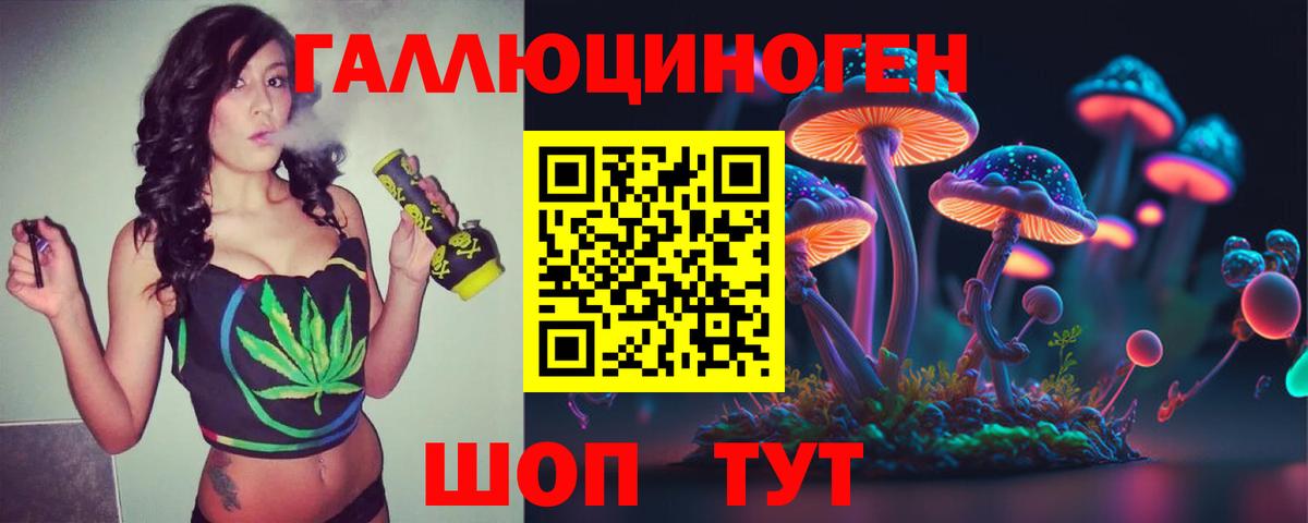 Псилоцибиновые грибы мицелий Новотроицк